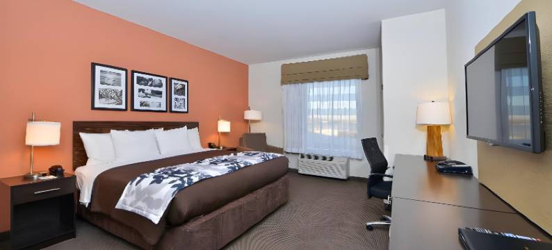 奥斯特舒眠酒店及套房 - 科技中心(Sleep Inn & Suites Austin – Tech Center)图片