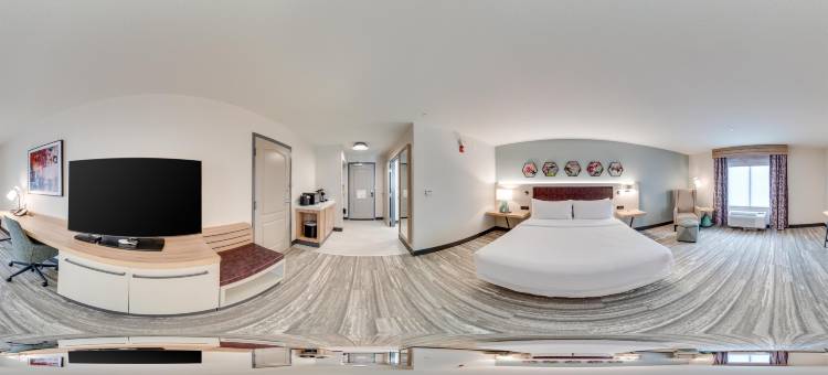 希尔顿花园酒店-卡特斯维尔(Hilton Garden Inn Cartersville)图片