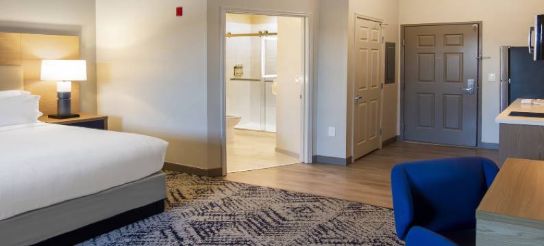 Candlewood Suites 埃文代尔区- 新奥尔良(Candlewood Suites AVONDALE-NEW ORLEANS by IHG)图片