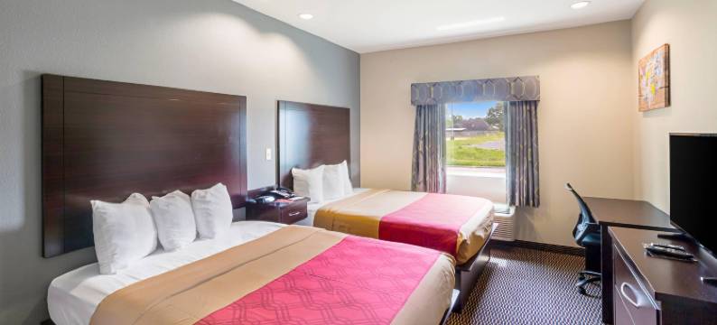 巴吞鲁日大学区 - 伊克诺旅馆(Econo Lodge Baton Rouge University Area)图片