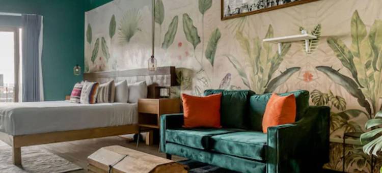 塞利纳墨西哥城市中心酒店(Hotel Virreyes México)图片