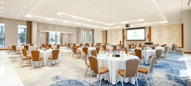 利雅得商业区假日酒店(Holiday Inn RIYADH THE BUSINESS DISTRICT by IHG)图片