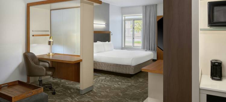 罗穆勒斯底特律都会机场万豪SpringHill酒店(SpringHill Suites Detroit Metro Airport Romulus)图片