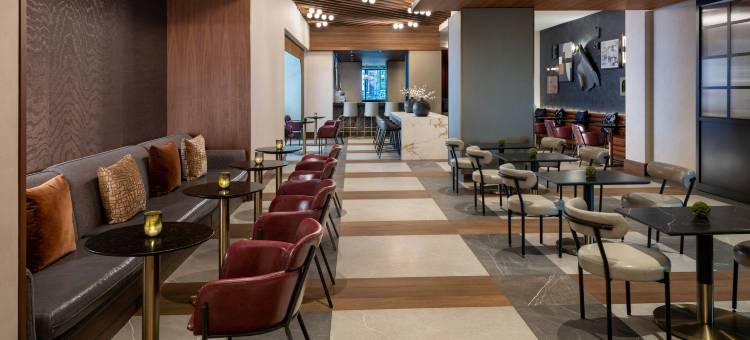 纽约时代广场万丽酒店(Renaissance New York Times Square Hotel)图片