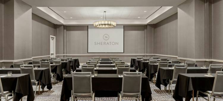 亚特兰大长廊喜来登套房酒店(Sheraton Suites Galleria-Atlanta)图片