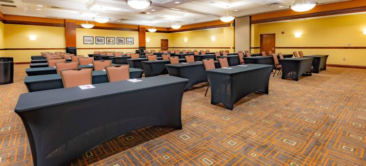 圣路易斯-近森林公园德鲁里套房酒店(Drury Inn & Suites St. Louis Forest Park)图片