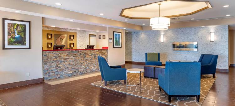 舒适套房酒店(Comfort Inn & Suites)图片