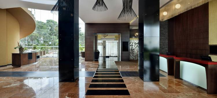 阿克拉万豪酒店(Accra Marriott Hotel)图片