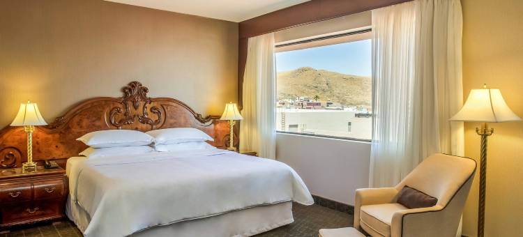 奇瓦瓦索贝拉诺喜来登酒店(Sheraton Chihuahua Soberano)图片