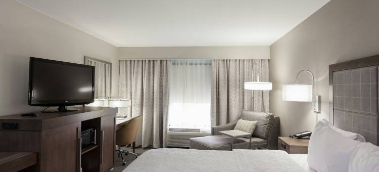 达拉斯DFW机场北葡萄藤欢朋套房酒店(Hampton Inn & Suites Dallas-DFW Airport N/Grapevine)图片