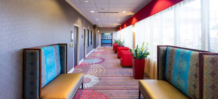 代托纳赛道机场欢朋酒店(Hampton Inn Daytona Beach-Speedway/Airport)图片