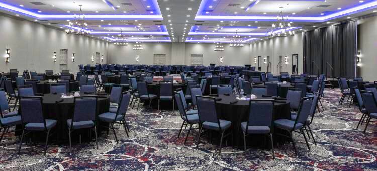 希尔顿花园旅馆-泰克瑟马活动中心丹尼森谢尔曼(Hilton Garden Inn Denison/Sherman/at Texoma Event Center)图片