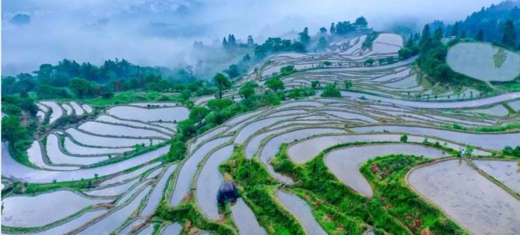 婺源涵庐民宿图片