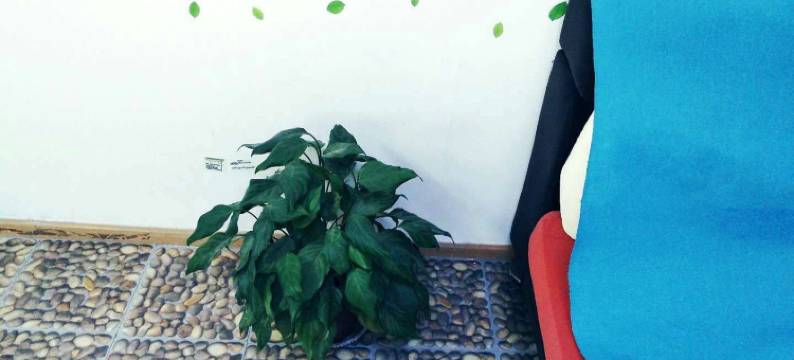 武汉美枫青年公寓图片