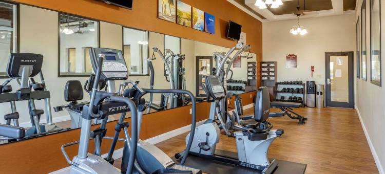 舒适套房酒店(Comfort Suites Batesville)图片