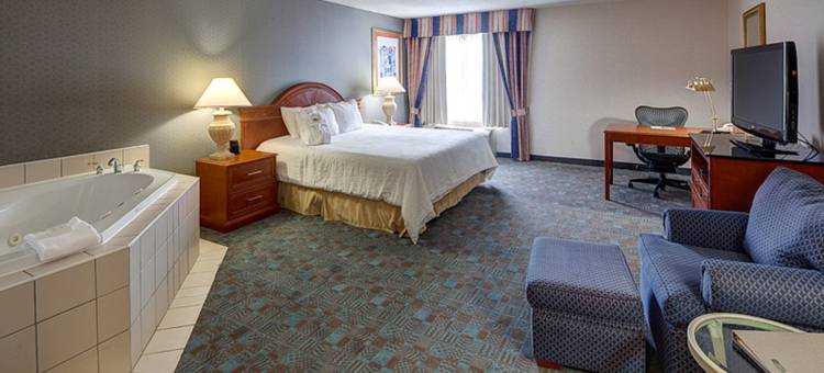 多伦多橡树镇希尔顿花园旅馆(Hilton Garden Inn Toronto-Oakville)图片