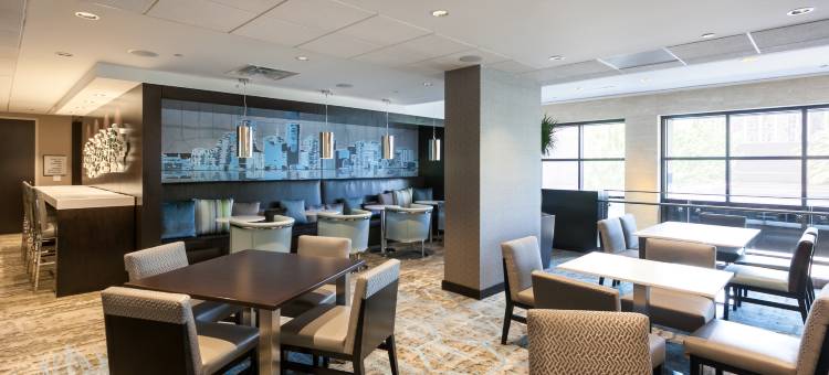 休斯顿加勒里亚希尔顿逸林套房酒店(DoubleTree by Hilton Hotel & Suites Houston by The Galleria)图片