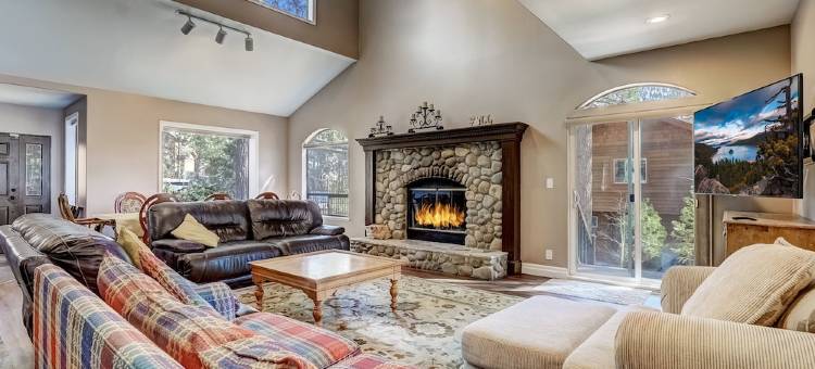 神秘的松树(Mystic Pine)图片