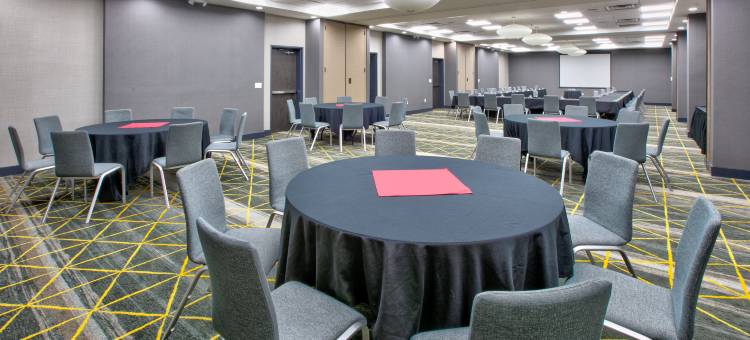 Holiday Inn 达拉斯 - 沃斯堡机场S(Holiday Inn DFW Airport South)图片