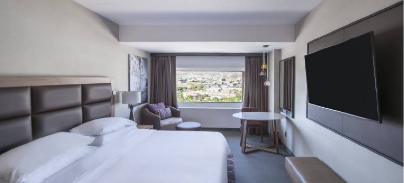 埃莫西美洲嘉年华酒店(Fiesta Americana Hermosillo)图片