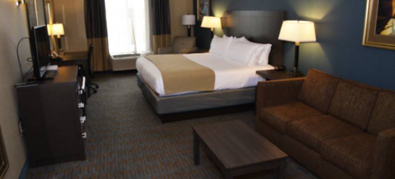 戈尔兹伯勒基地区智选假日套房酒店(Holiday Inn Express & Suites GOLDSBORO - BASE AREA by IHG)图片