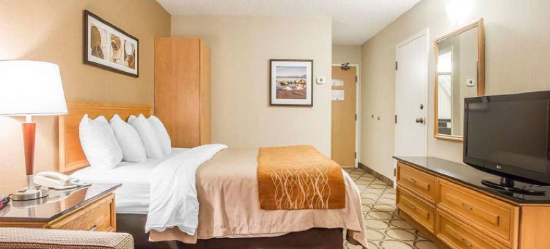 舒适酒店(Comfort Inn)图片