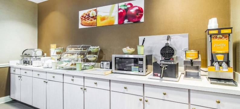 品质套房酒店(Quality Suites)图片