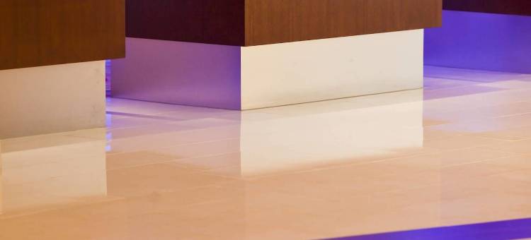 BWI机场万豪酒店(BWI Airport Marriott)图片