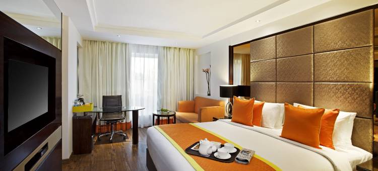 齐普尔区域公园酒店(Zone By The Park Jaipur)图片