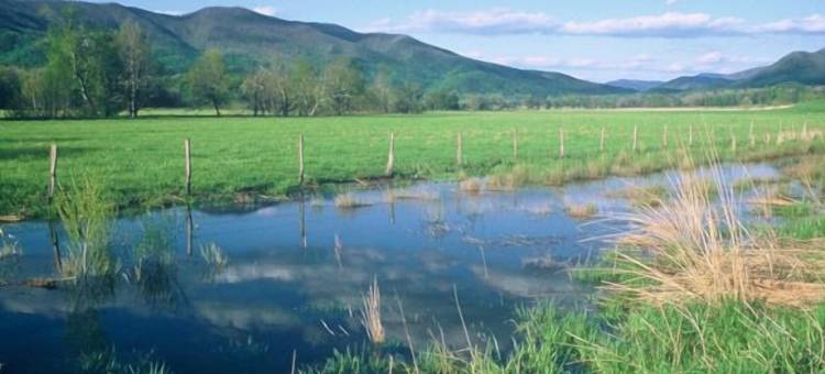 跳舞熊山林小屋(Dancing Bear Lodge)图片