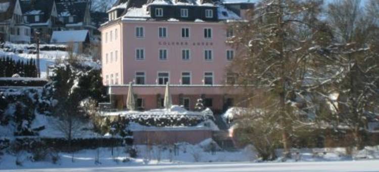 高登安卡酒店(Hotel Goldner Anker)图片