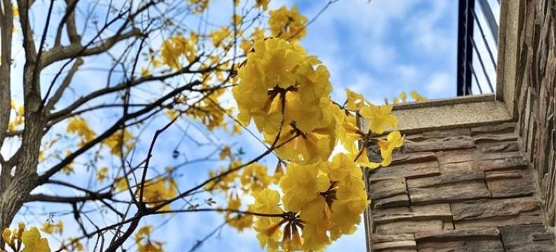 真的兔了度假别墅(博学路分店)图片