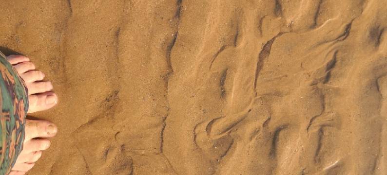 苏姨公寓(太公岛二路1号分店)图片