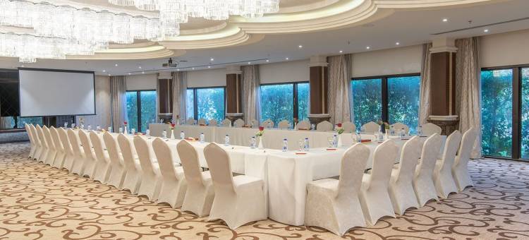 利雅德宫皇冠假日酒店 - IHG 旗下酒店(Crowne Plaza Riyadh Palace)图片