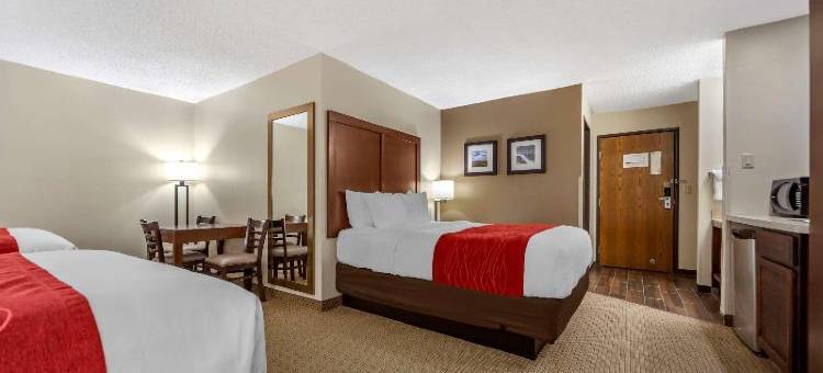瓦伦廷舒适酒店(Comfort Inn)图片