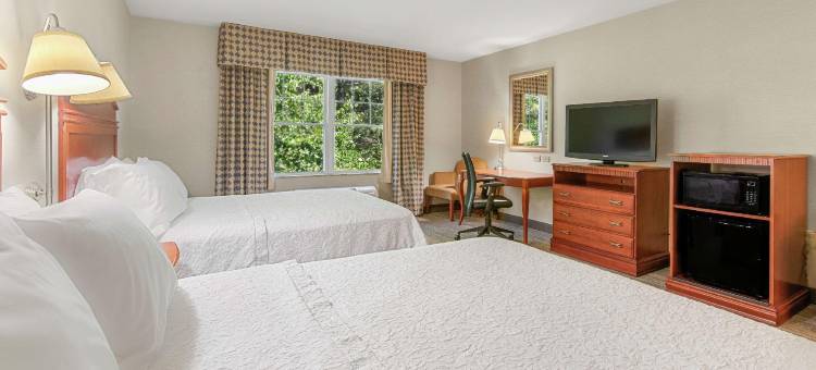 北康威欢朋套房酒店(Hampton Inn & Suites North Conway)图片