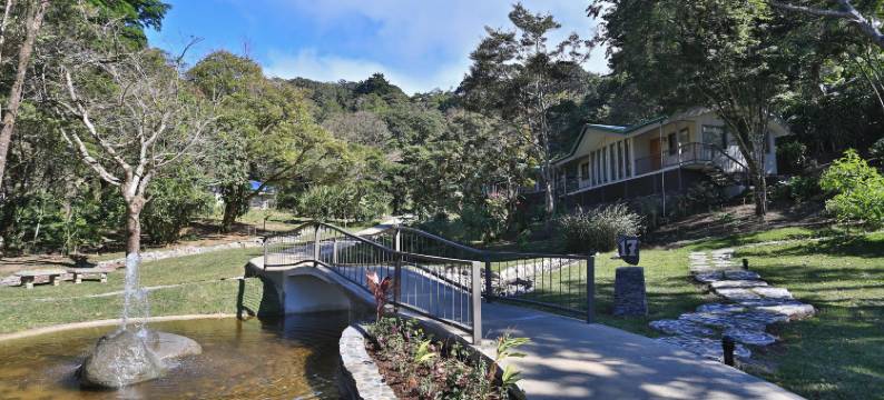 蒙特沃德森达酒店(Senda Monteverde Hotel Member of the Cayuga Collection)图片