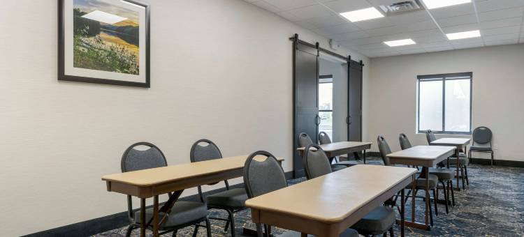 帕迪尤卡购物中心区舒适套房酒店(Comfort Suites Paducah Mall Area)图片