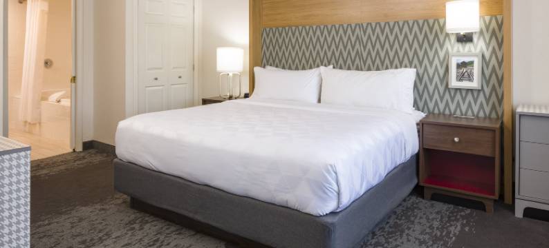 塞勒姆假日酒店(Holiday Inn SALEM (I-93 AT EXIT 2) by IHG)图片