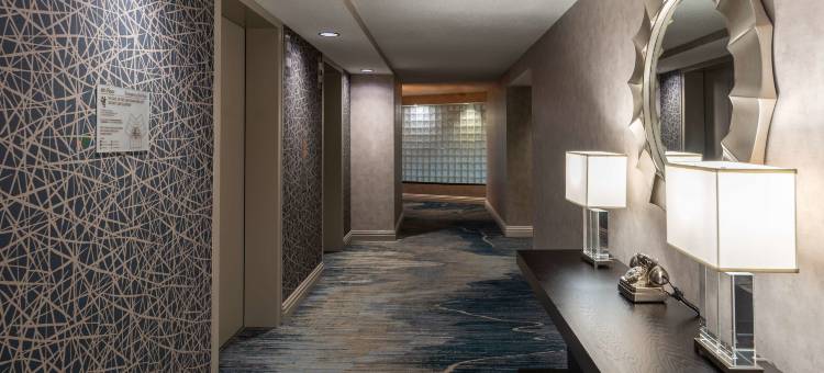 亚历山德里亚马克中心希尔顿酒店(Hilton Alexandria Mark Center)图片
