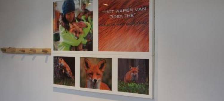 德伦特的武器酒店(Hotel Het Wapen Van Drenthe)图片