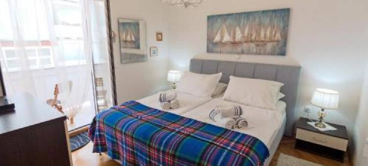 M. de Dominisa 5图片