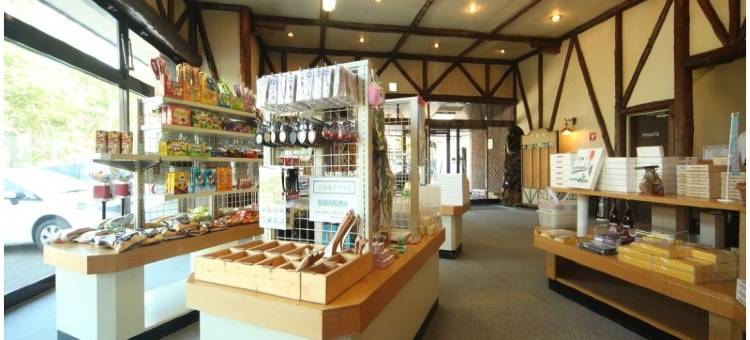 糠平馆观光酒店(Nukabirakan Kanko Hotel)图片