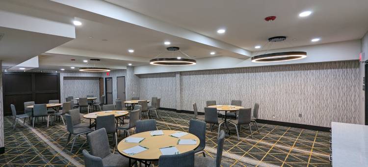 堪萨斯城市中心假日酒店(Holiday Inn Kansas City - Downtown)图片