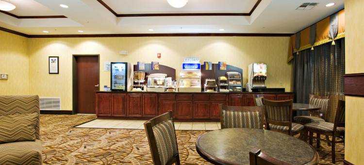 智选假日套房酒店斯奈德(Holiday Inn Express & Suites Snyder)图片