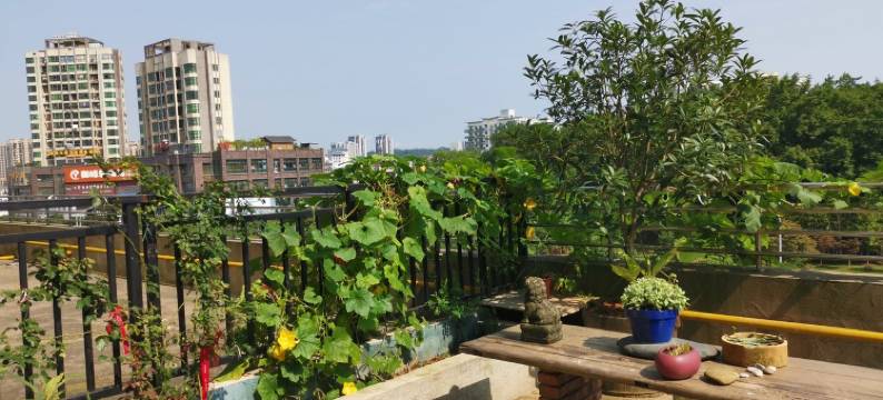 未见山民宿图片