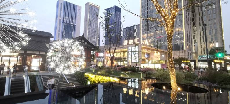 中宸洲公寓(东顺城南街分店)图片