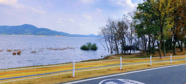 天目湖燕归巢专业团建民宿(东园路1号分店)图片