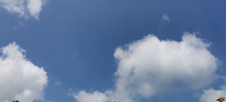 21绿葱坡滑雪场民宿(东大路分店)图片