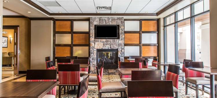 舒适套房酒店(Comfort Inn & Suites)图片